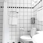 Hindsgavl Slot Hotell