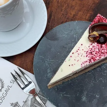 Hotel Hindsgavl Slot Middelfart