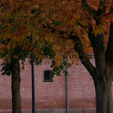 Hindsgavl Slot 4*
