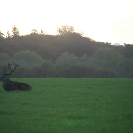 Hotel Hindsgavl Slot