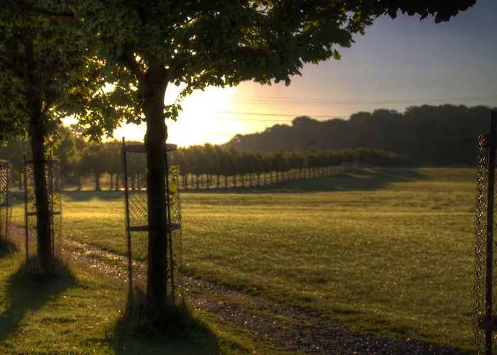 Hotel Hindsgavl Slot Middelfart