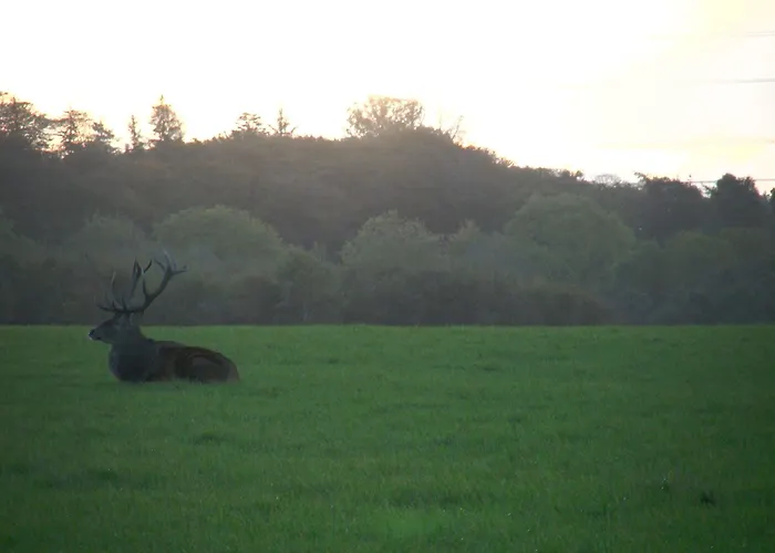 Hotel Hindsgavl Slot