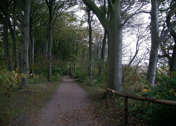 Hindsgavl Slot Hotel 4*