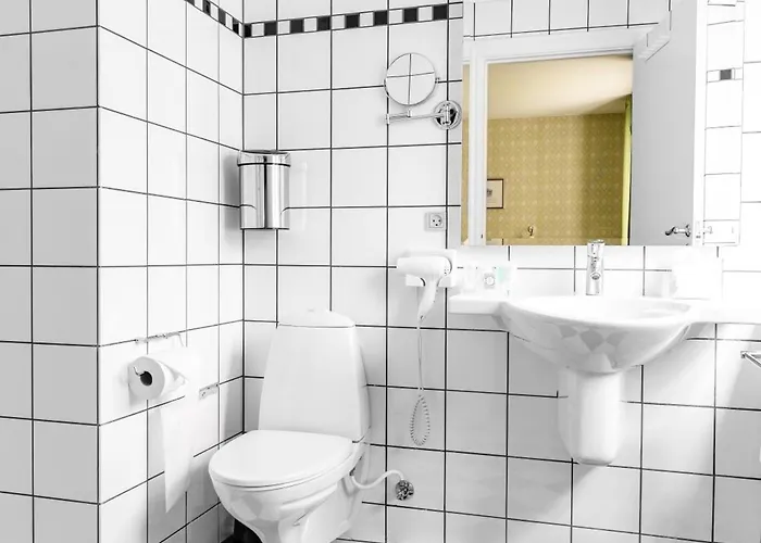 Hotel Hindsgavl Slot 4*